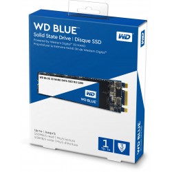 SSD Western Digital Blue 3D 1TB SATA M.2 (WDS100T2B0B)